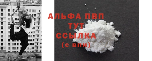 СК Новодвинск