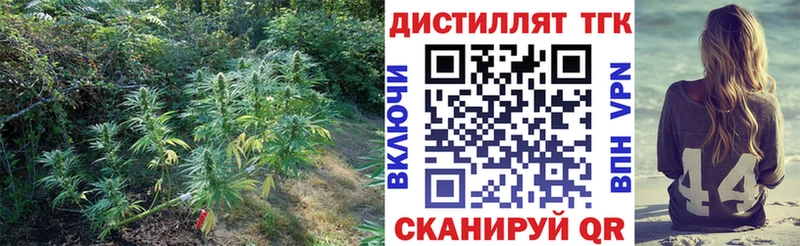 где можно купить   Сураж  Дистиллят ТГК гашишное масло 